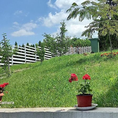 Fruskogorska Idila Apartmani Врдник Экстерьер фото